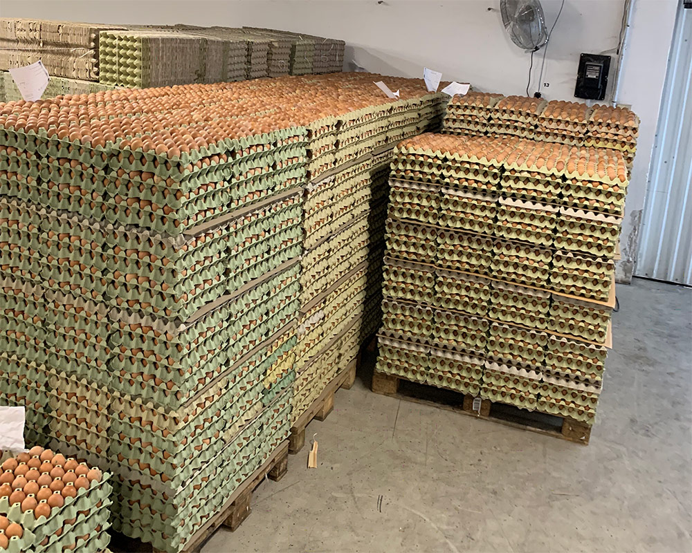 Raklapos csomagolás nélküli tojás